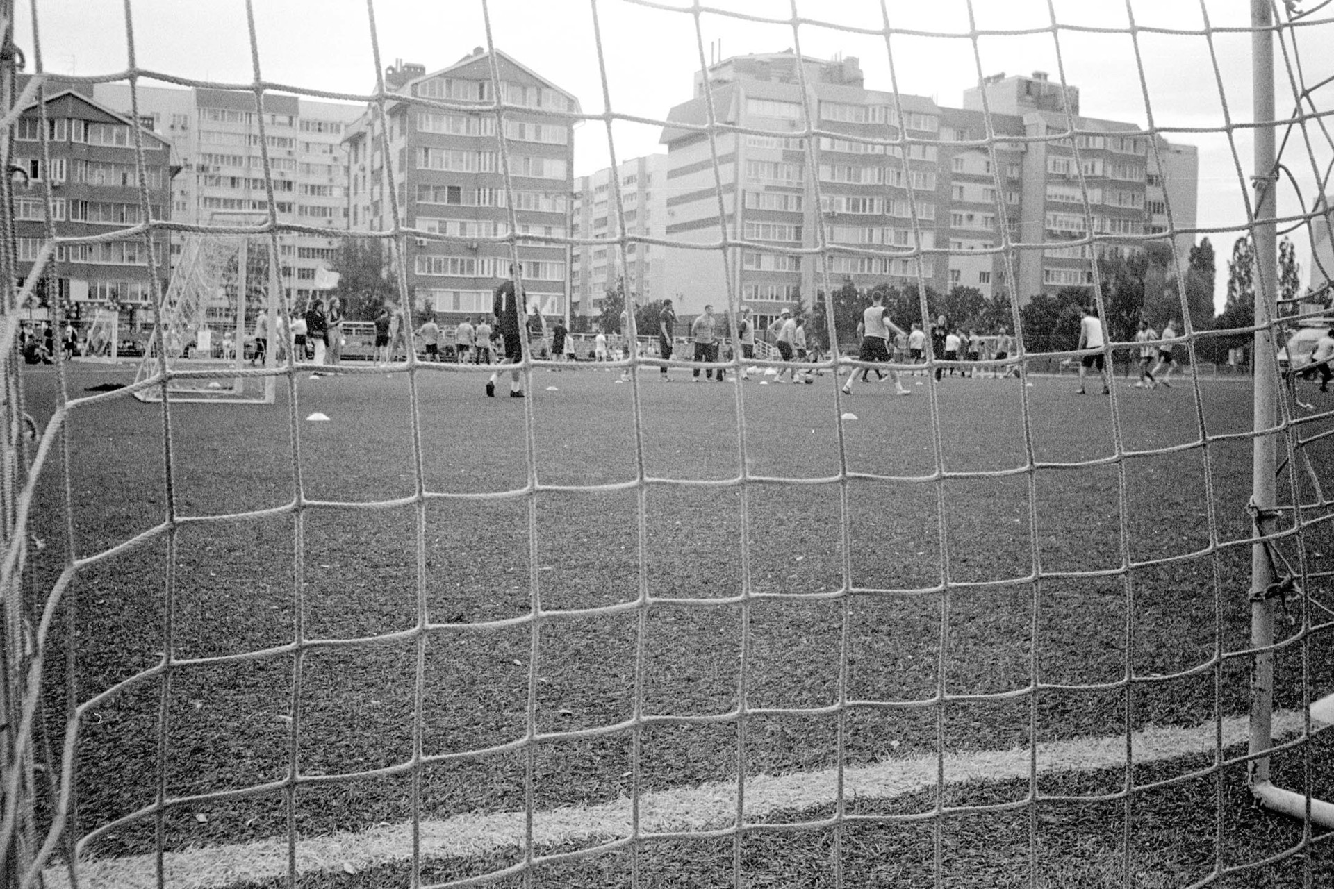 Cancha